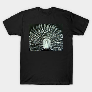 White and Gold Peacock T-Shirt